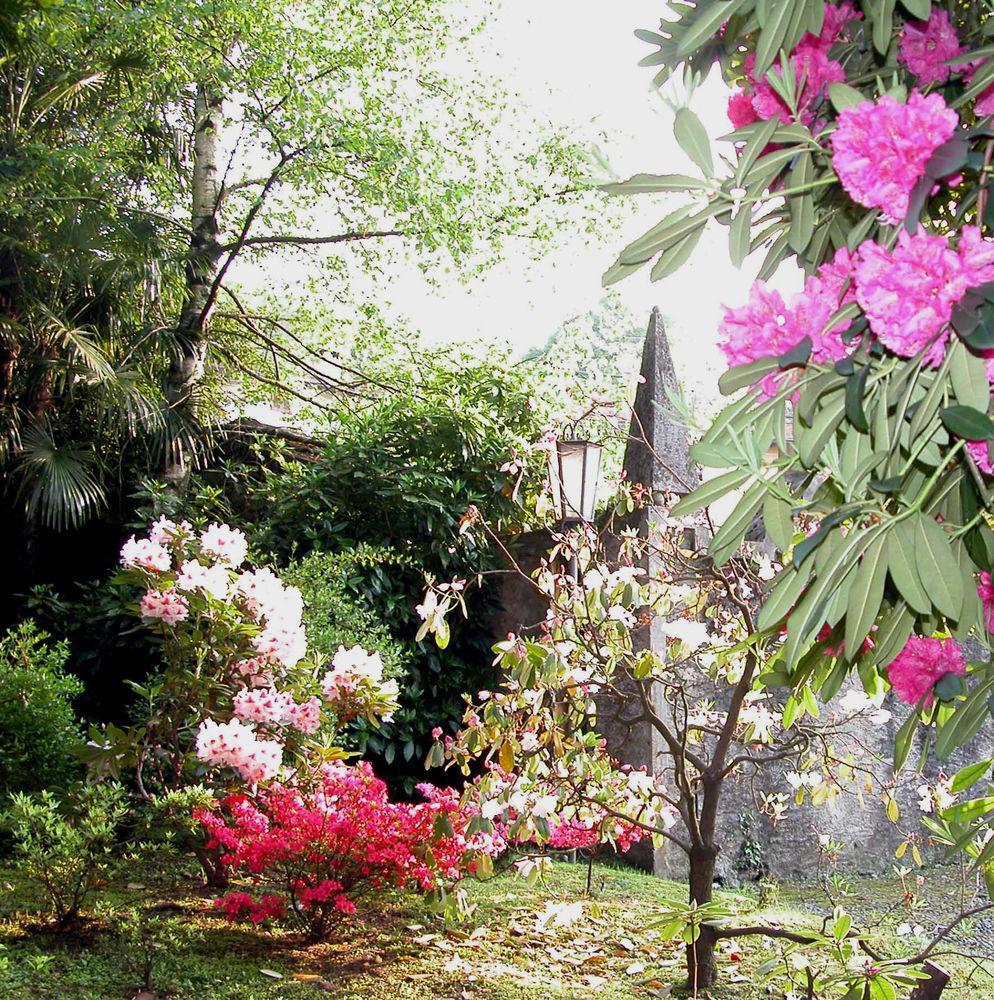 Du Parc Hotel Lake Maggiore Esterno foto