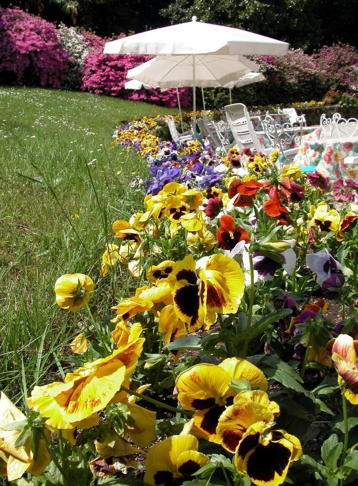 Du Parc Hotel Lake Maggiore Esterno foto