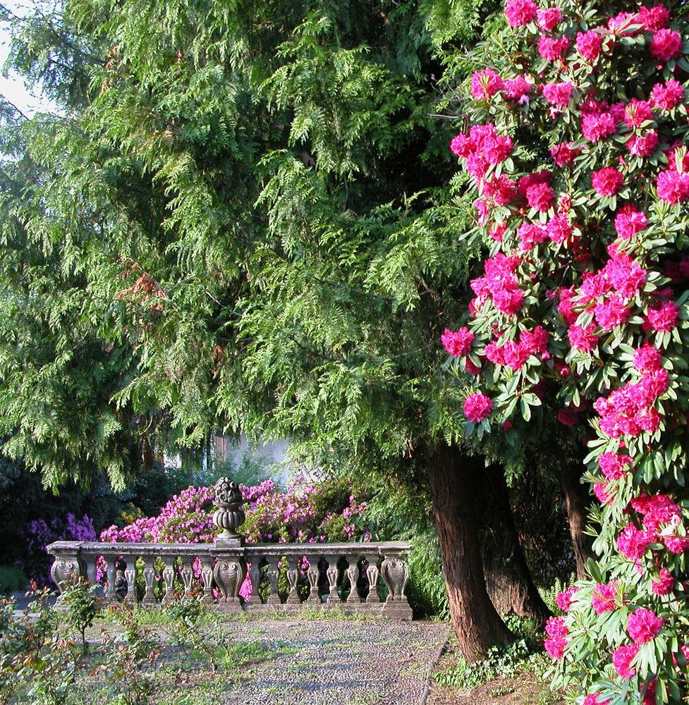 Du Parc Hotel Lake Maggiore Esterno foto