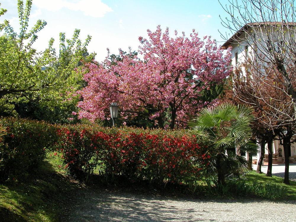 Du Parc Hotel Lake Maggiore Esterno foto